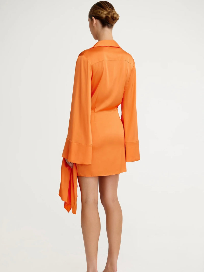 Elaina Wrap Mini Dress