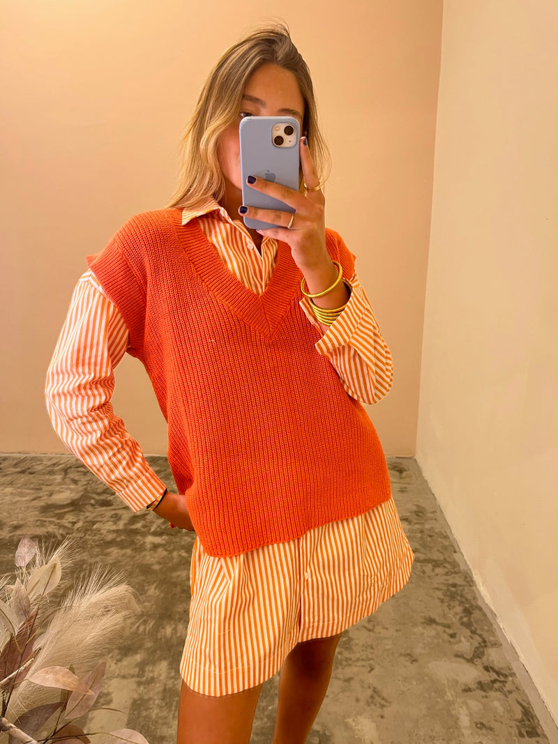 Pictor orange vest